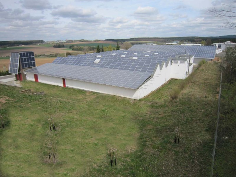 Grafenwald_4223 Grafenwald_4223